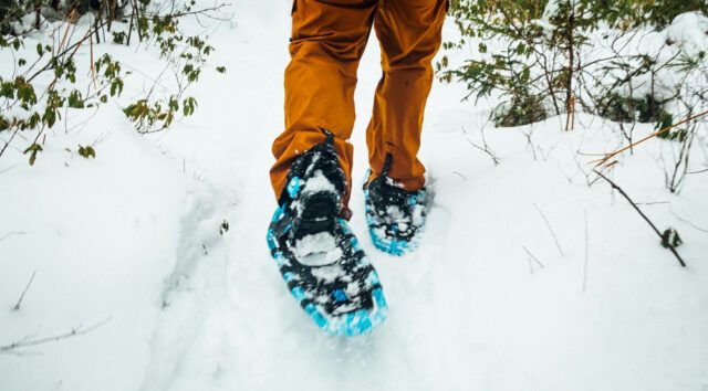 untersbergbahn-erlebnisse-schneeschuhwandern-schneeschuhwanderer-im-wald-von-hinten