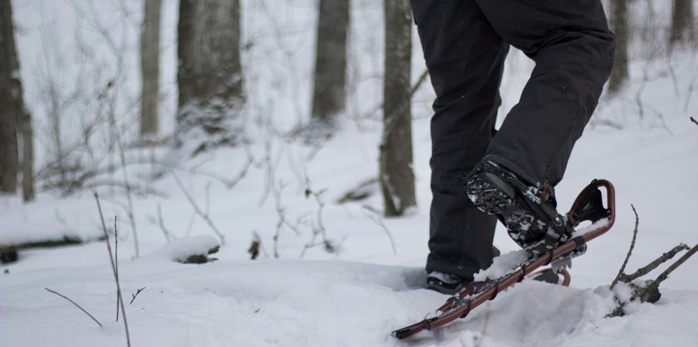 untersbergbahn-erlebnisse-schneeschuhwandern-schneeschuwanderer-im-wald